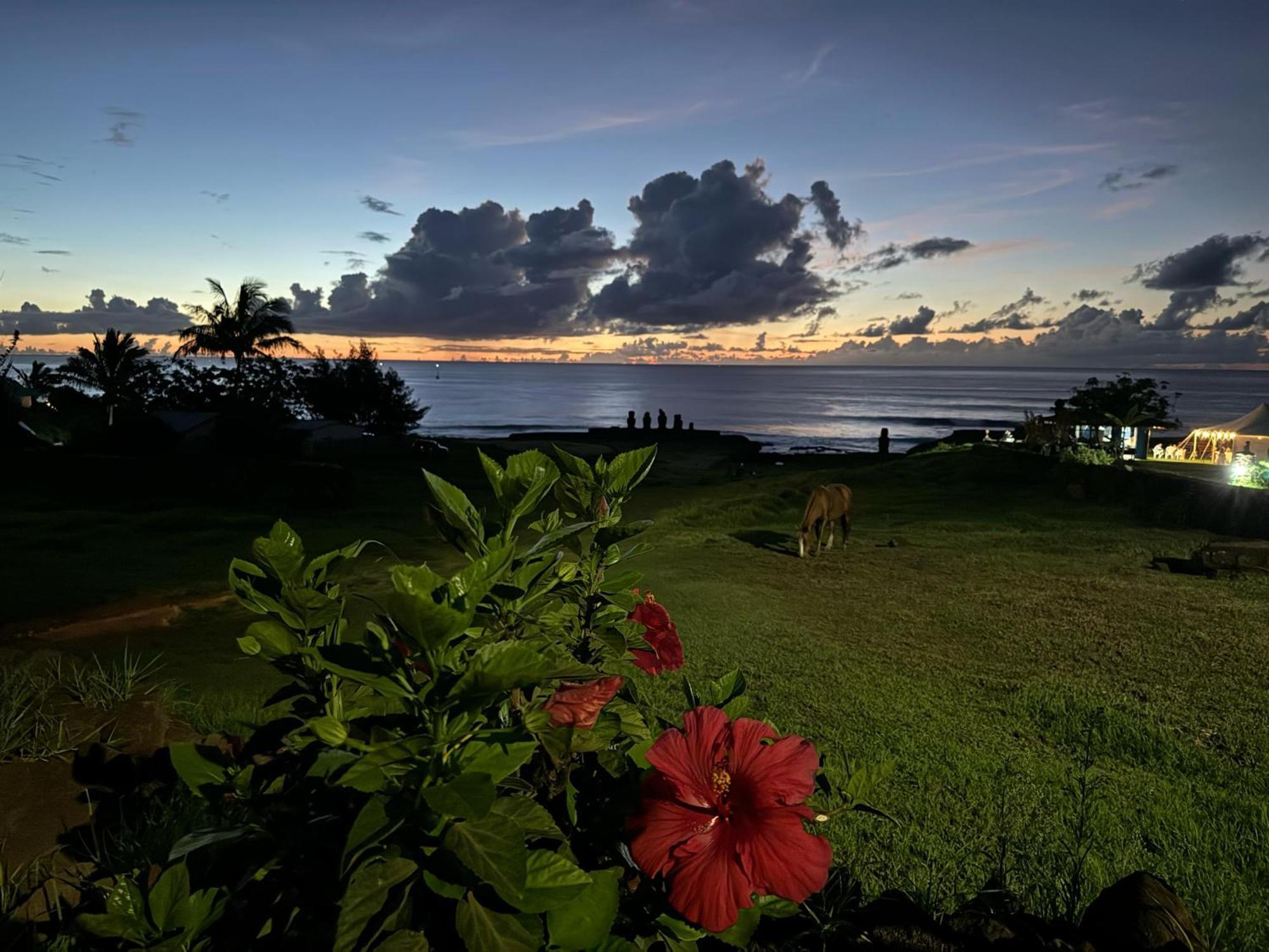 Vila Cabanas Tangaroa Y Hamea Hanga Roa Exteriér fotografie